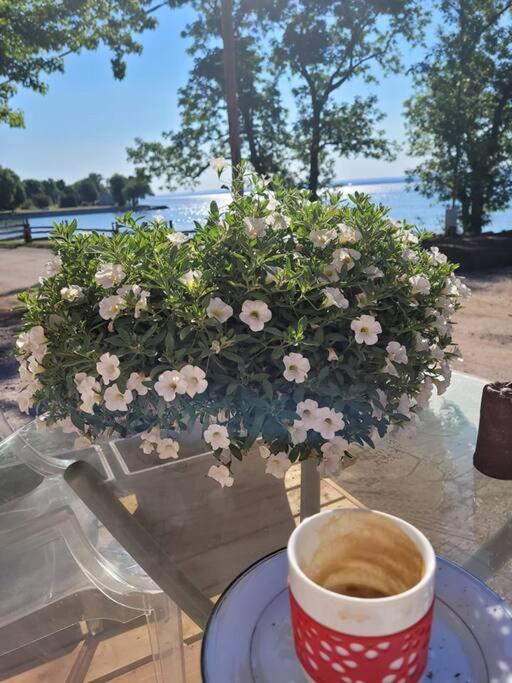 Om Chalet 1 Avec Spa Face Au Fleuve Saint-Jean Luaran gambar